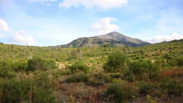 Uruguay: Suite Homes crece en Argentina (invertirá US$ 12 millones en Bariloche)