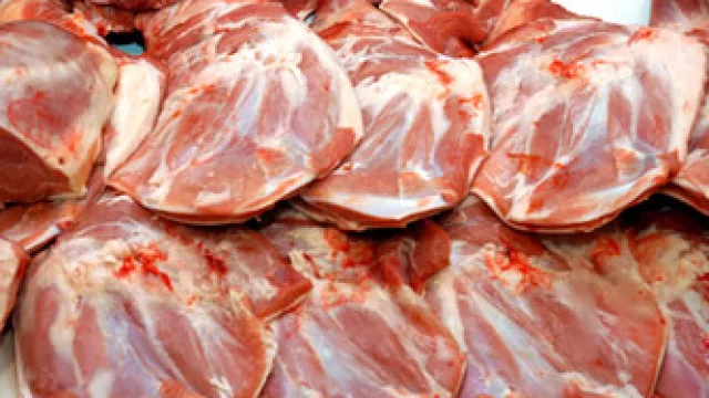 ¿A dónde va la carne de caballo en Chile? (Son casi 7.500 toneladas que nadie ve)