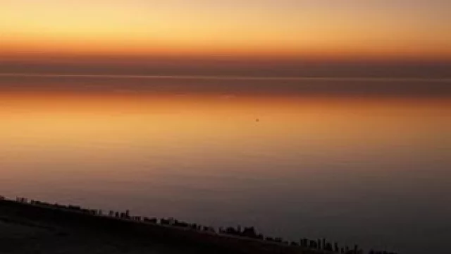 Adrienne Rich, XII (Dedicatorias)