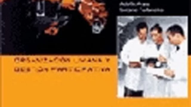 Organización Liviana Y Gestión Participativa