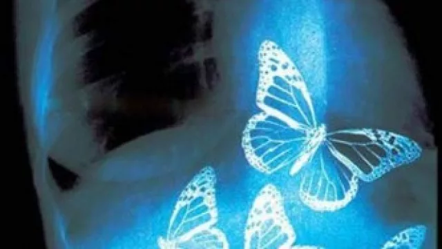 Gioconda Belli, Definición