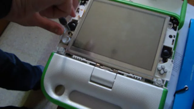 Uruguay: Unas 170.000 Ceibalitas pasarán “a mejor vida” entre 2011 y 2012