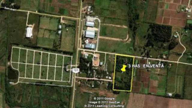 Uruguay: En la Ruta 101 se disparan los precios (piden hasta US$ 150.000 por ha)