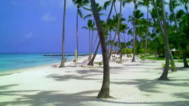 Se viene (o se van) los últimos charters de Lozada