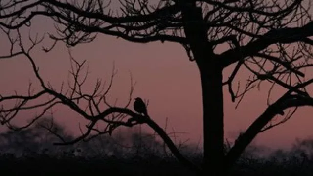 Sin título, de Miren Agur Meabe