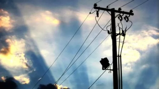 Nadie sabe qué son, de Francisca Aguirre