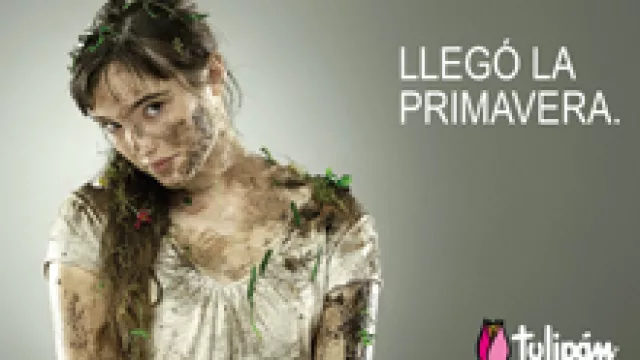 Un Lápiz de Oro para Tulipán