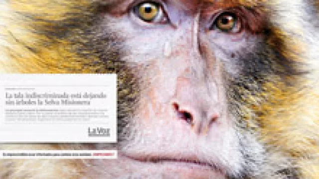 La cordobesa .JPG galardonada en los Premios Clarín