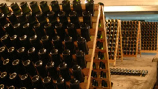 La Caroyense Piú Nature