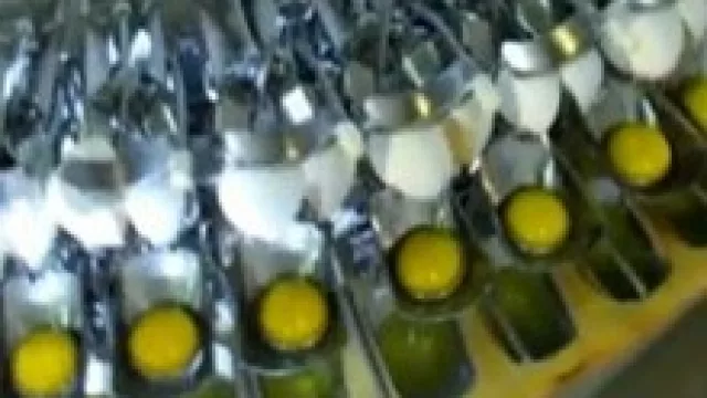 Ovoprot encontró el negocio en romper los huevos (¿sabías que se vende huevo líquido y en polvo?)