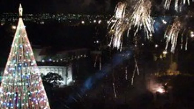 El árbol navideño más grande de Córdoba abre sus puertas al público (tendrá 60 m2).