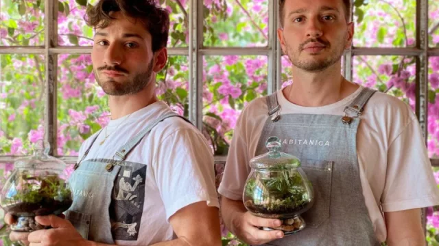 Habitanica: la tienda virtual de jardinería que surgió en pandemia y no para de crecer