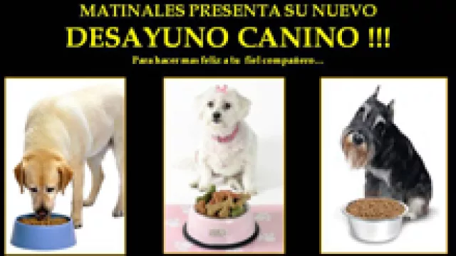 Desayunos Sorpresa... ¡para perros!