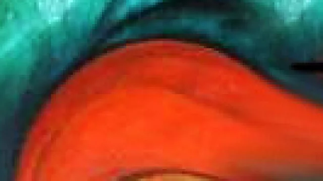 Fiesta de sentidos: Muestra de arte no visual.