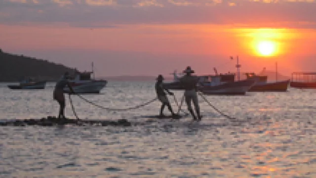 Viajes de solos y solas