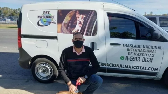 ¿Sabías que podés trasladar a tu mascota en viajes exclusivos? (de US$ 1500 a US$ 3000, con trámites incluidos)