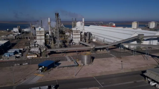 Chin, chin: Profertil realizó su primera emisión de obligaciones negociables (US$ 41 millones de colocados)