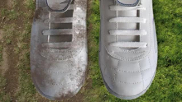 La Esip se llevó 4 premios, 4 en Camino Creativo