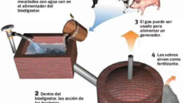 El biodigestor no necesita de una gran inversión para los productores ganaderos y sirve para el aprovechar los residuos orgánicos en la generación de energía 