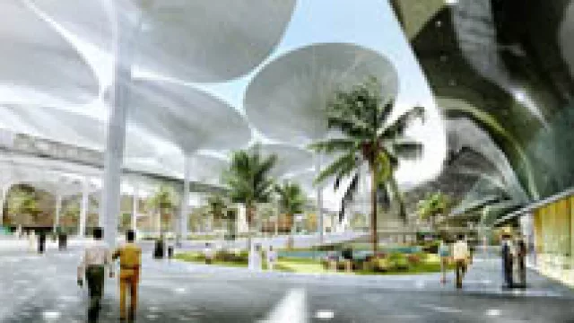 OIER, la organización que suena cada vez más fuerte en el mundo “verde”.