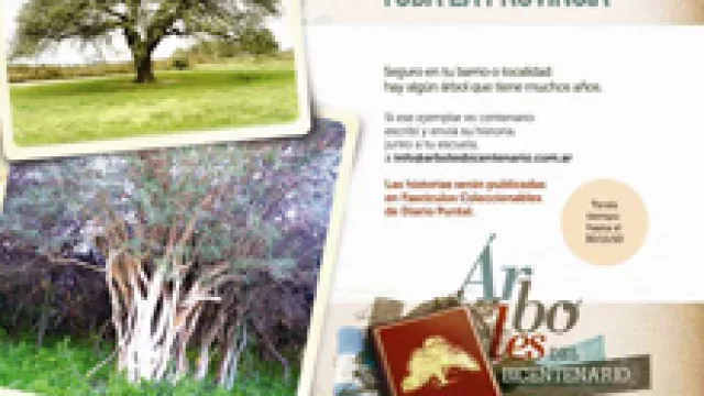 Rescatando Árboles Centenarios (by Rombo)