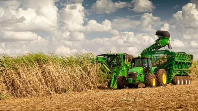 Gran inicio de zafra en Tucumán con casi 15 ingenios en plena molienda