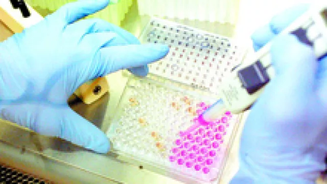 Los bancos de células madre ya consiguen “depósitos” por U$S 1 millón al año en Córdoba