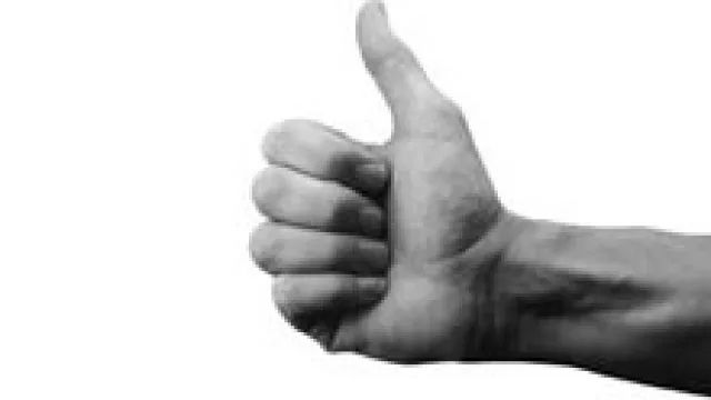 El 70% de los InfoNautas espera un "gran" (o "buen") año.