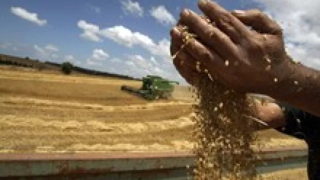 Los cereales hundieron las exportaciones cordobesas.