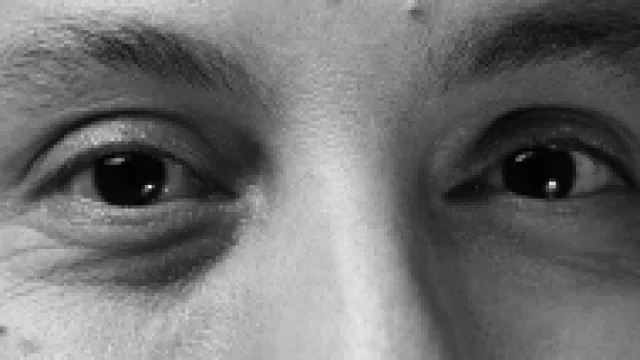 La mirada de Gaspar Petrini