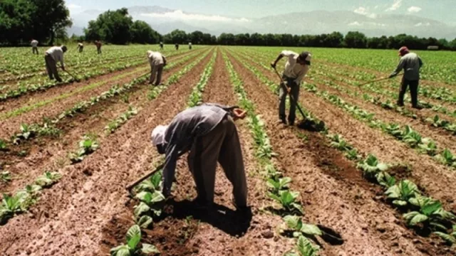 Energía y agua: el programa Pisear aprobó 9 proyectos por $ 110 millones