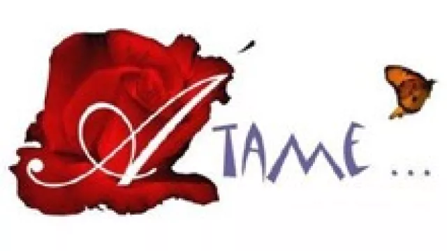 Con diseño cordobés nació Átame, una línea de carteras exclusivas.