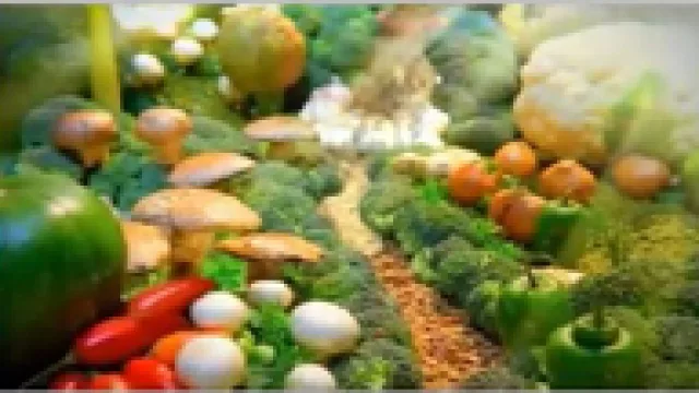 Jungla, ¿será El CC 09?