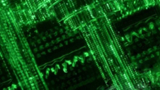 Ciudades digitales, poblaciones analógicas