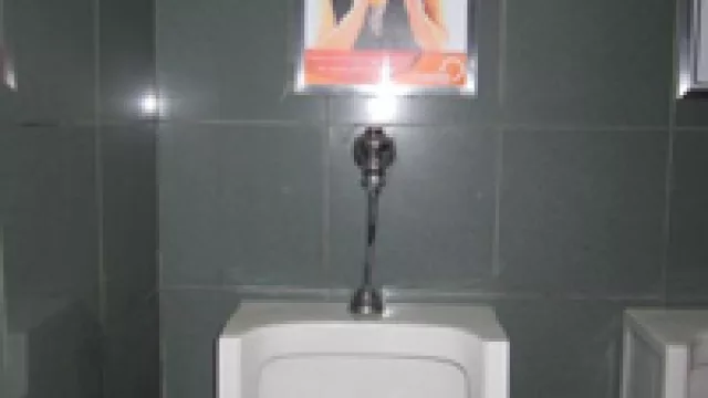 Hay grandes, hay pequeños, hay difíciles de encontrar… ¿cómo es el tuyo?