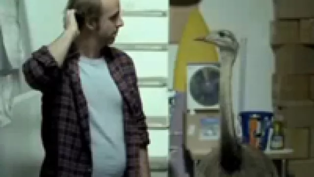 Pancho el ñandú y la familia Gandolfi presentan Trío (By DDB)