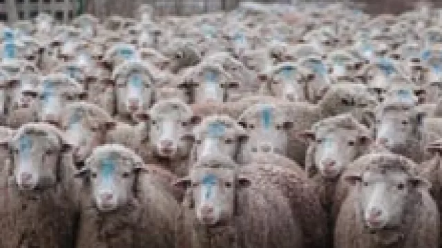 Fiat x 2. Festejo del día del Niño y ganadores del premio New Holland