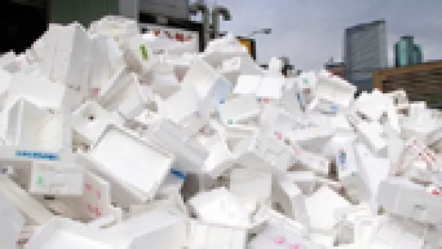 ¿Biodiesel con poliestireno?